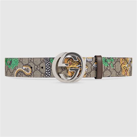 cintura gucci bengal|gucci buckle width.